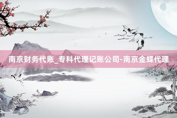 南京财务代账_专科代理记账公司-南京金蝶代理
