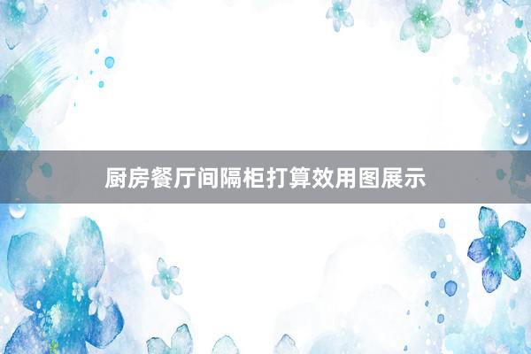 厨房餐厅间隔柜打算效用图展示