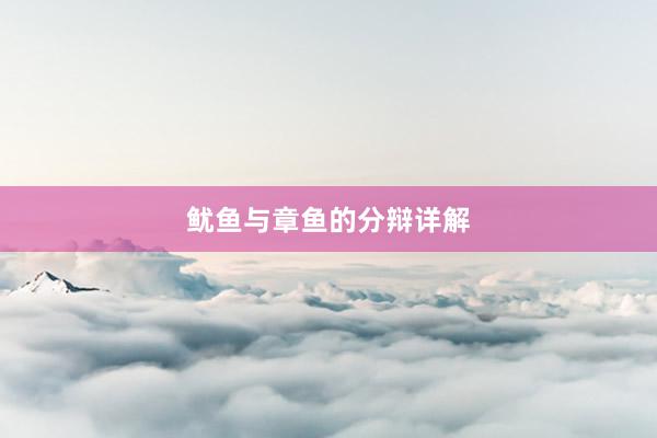 鱿鱼与章鱼的分辩详解